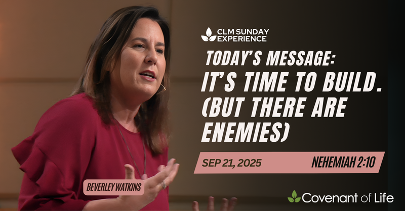 It’s time to build. (But there are enemies)