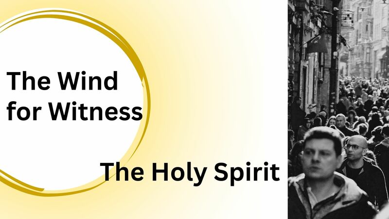None Other: Confident Witnesses in a Hostile World