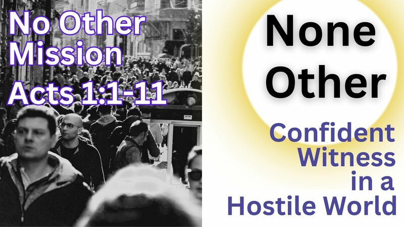 None Other: Confident Witnesses in a Hostile World