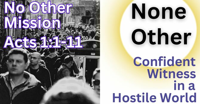 None Other: Confident Witnesses in a Hostile World