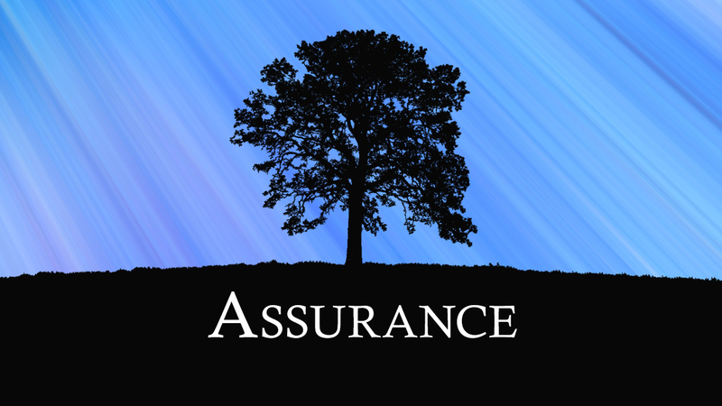 Part 2 - The Beginning of Assurance