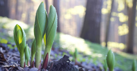 Emerging Leaders Series