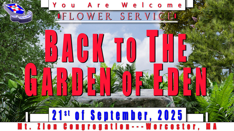 Back To The Garden Of Eden