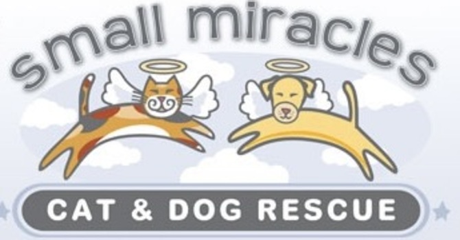 Animal Rescue Fundraiser