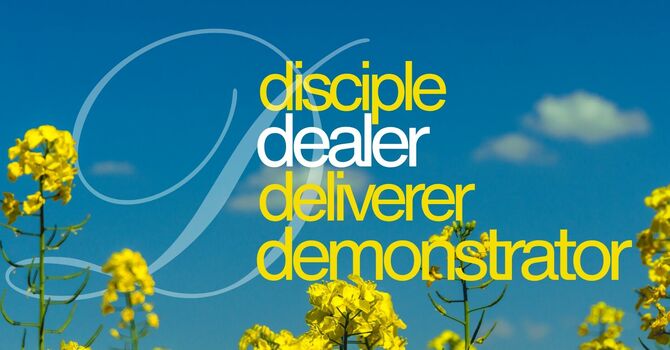 Dealer, Part Two