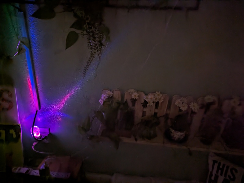 "Can You Take It With You?...maybe"