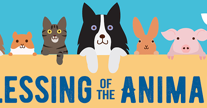 Blessing of the Animals
