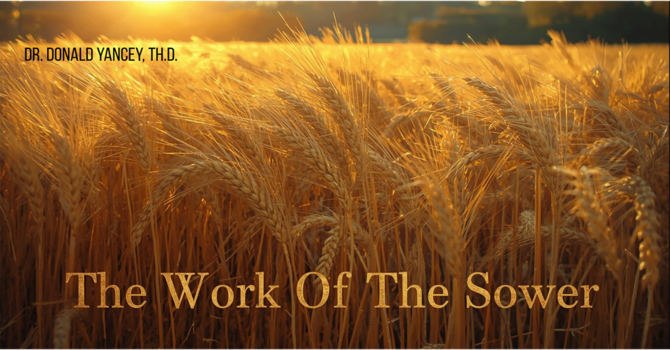 The Work Of The Sower
