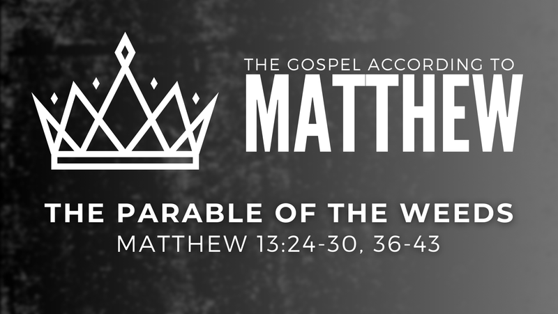 The Parable of the Weeds 