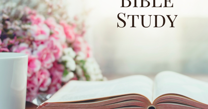 Women's Bible Study