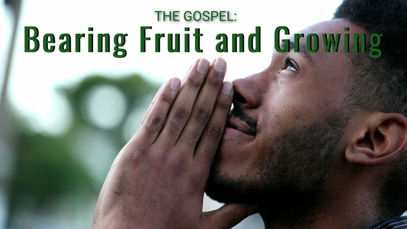 The Gospel: Bearing Fruit and Growing