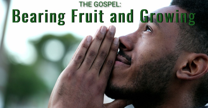 The Gospel: Bearing Fruit and Growing