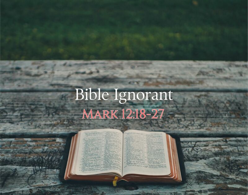 Bible Ignorant