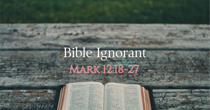 Bible Ignorant 