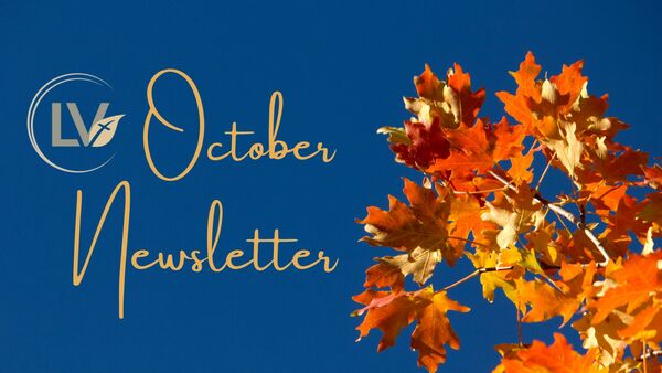 Fall Back into the Schedule!!