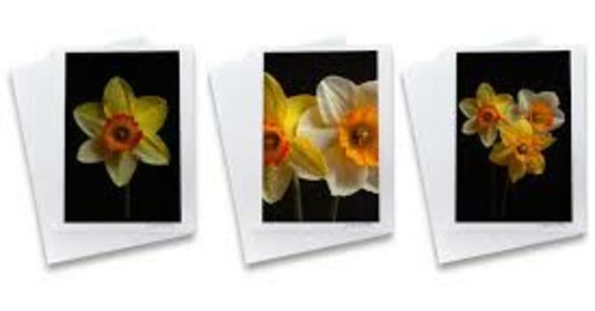 Handmade Original Photo Cards