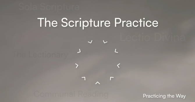 Reading the Bible and Loving It!