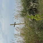 nav image