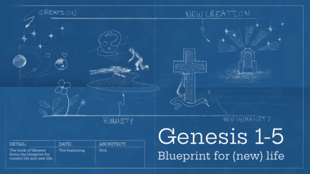 Blueprint for (New) Life (Genesis 1-5)