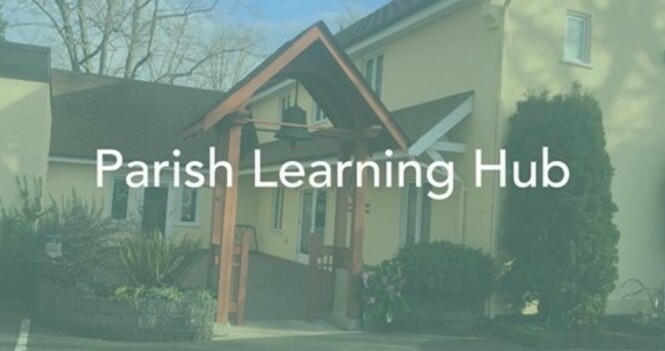 Diocesan Learning Hub