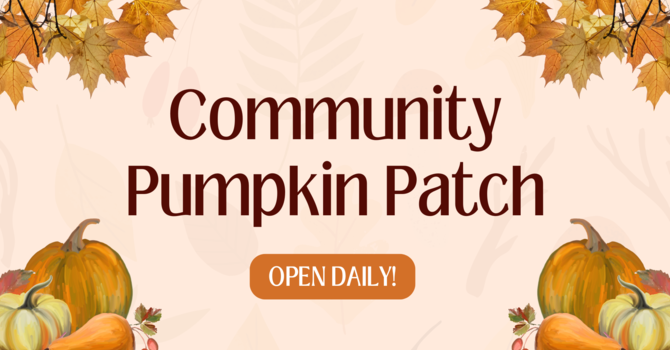Community Pumpkin Patch