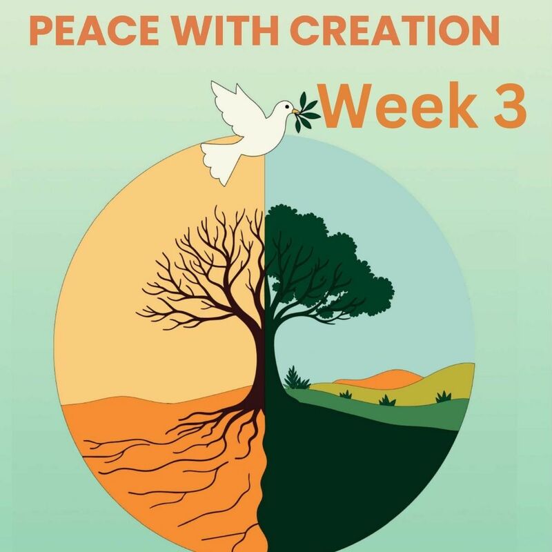 Sermon for Sept 21, 2025