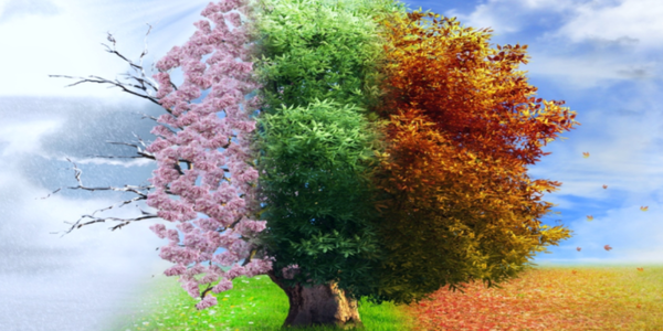 "For everything there is a season, and a time for every matter under heaven."