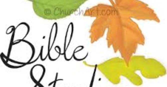 WOMEN'S BIBLE STUDY