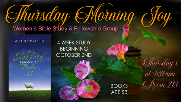 Thursday Morning Joy