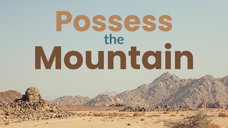 Possess the Mountain