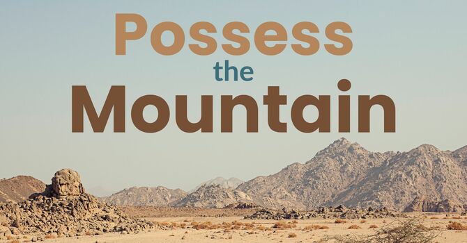 Possess the Mountain