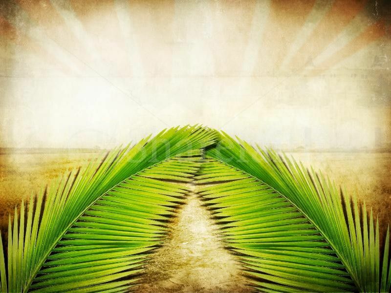 Matthew 21:1-11