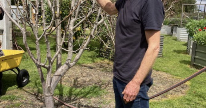 Organic Gardening with Neal Collins in the Goodlife Community Garden