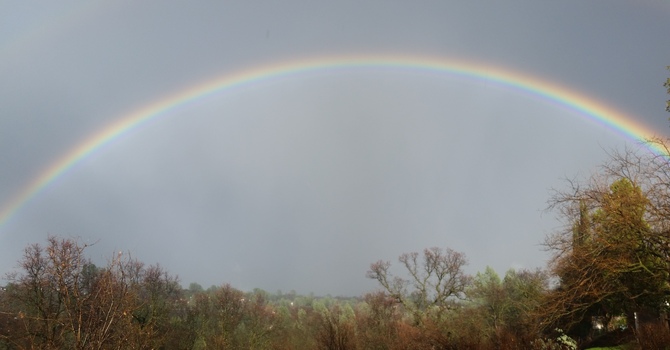 United Women in Faith