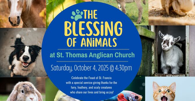 The Blessing of Animals Service
