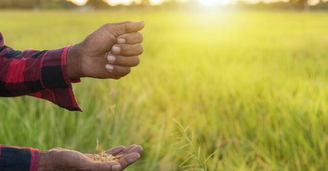 The Eternal Fruit of Discipleship image
