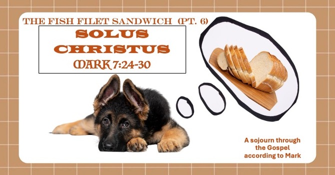 Why does Jesus call the Canaanite woman a dog? image