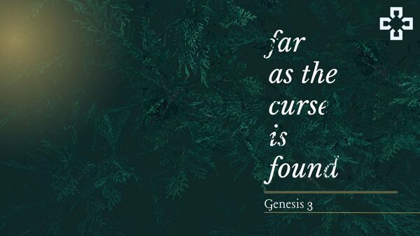 Far as the Curse is Found
