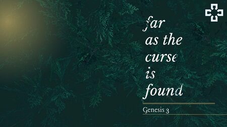 Far as the Curse is Found