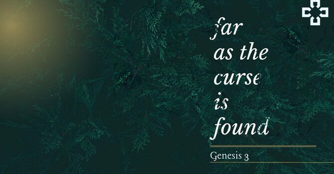 Genesis 3:21:24