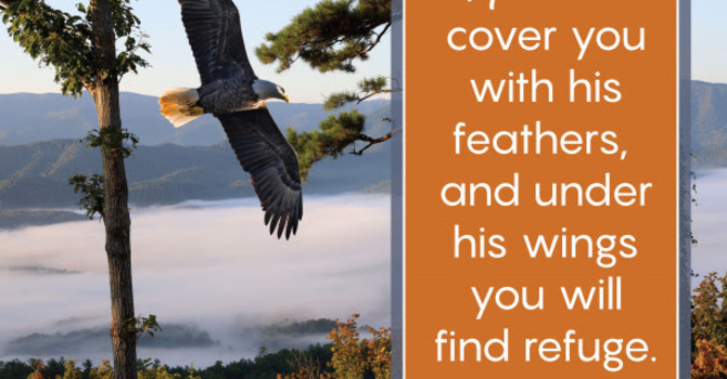 Joey's Tuesday Devotional image