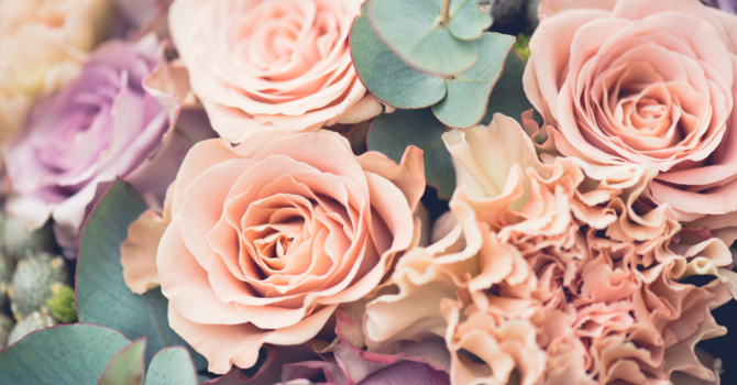 Cathedral Flowers for October 5 image
