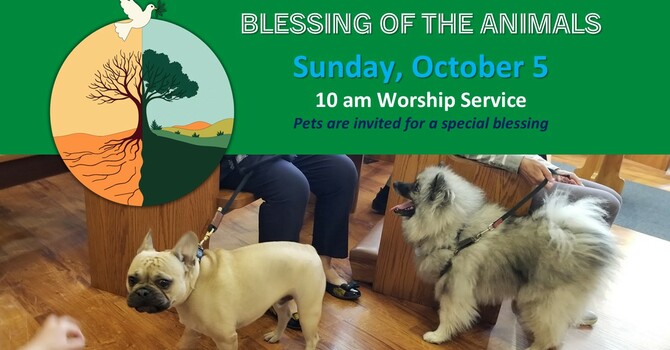 Blessing of the Animals