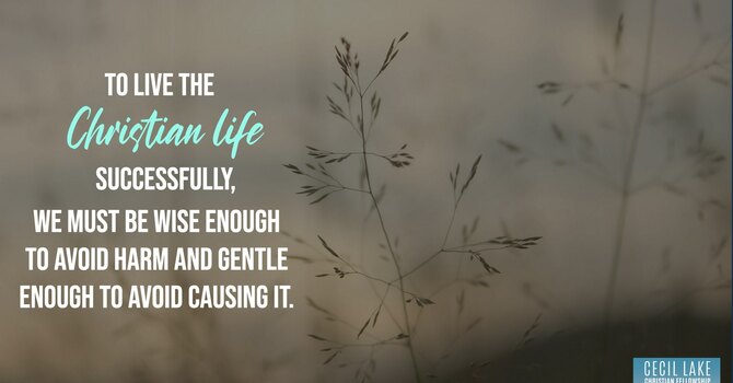 “SMART AND TENDERHEARTED” image