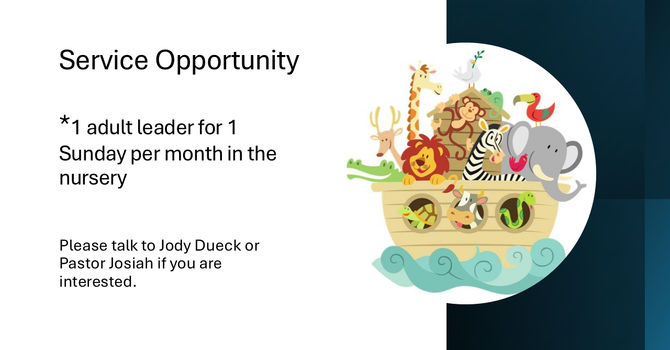 Service Opportunity 