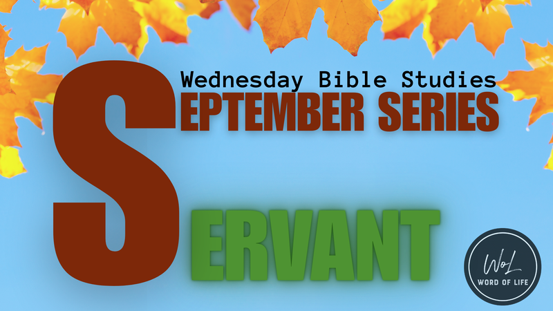 Living as a Servant