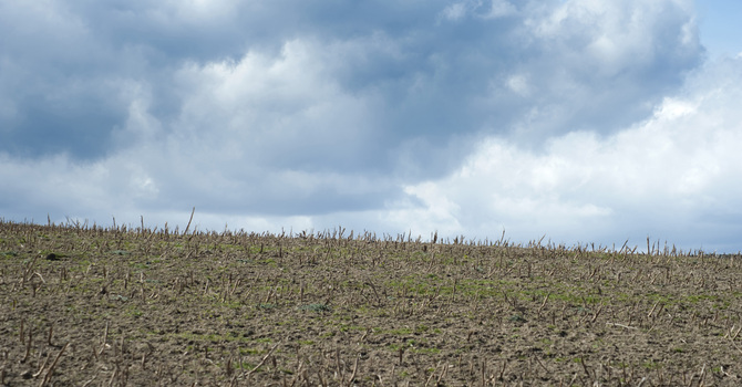 The Warning of a Barren Field image