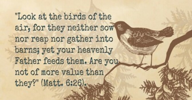 The Fifteenth Sunday After Trinity