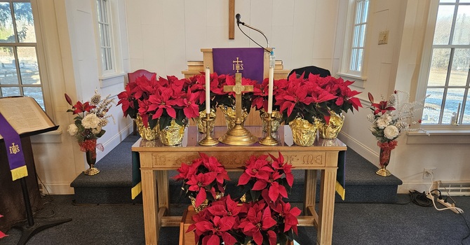 Hope Beyond the Hurt  image