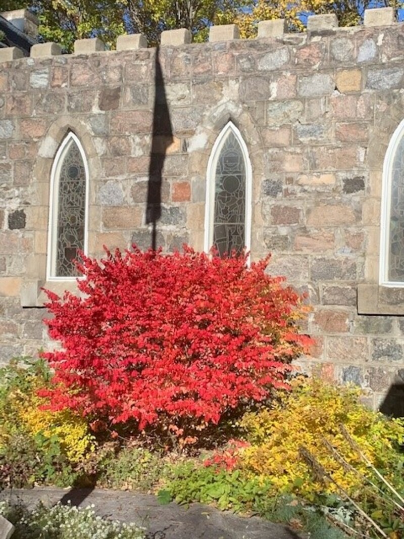 Sixteenth Sunday after Pentecost